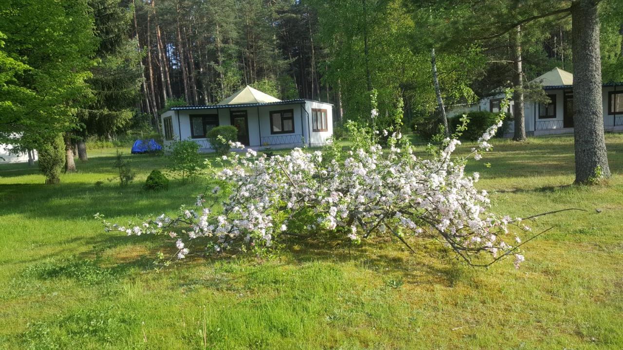 스보르네가치에 Osrodek Wypoczynkowy Soszko 빌라 외부 사진